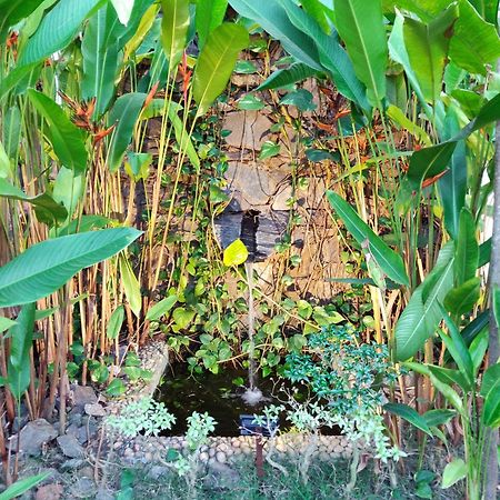 Rock Forest Goa Honeymoon Cottages Calangute Esterno foto