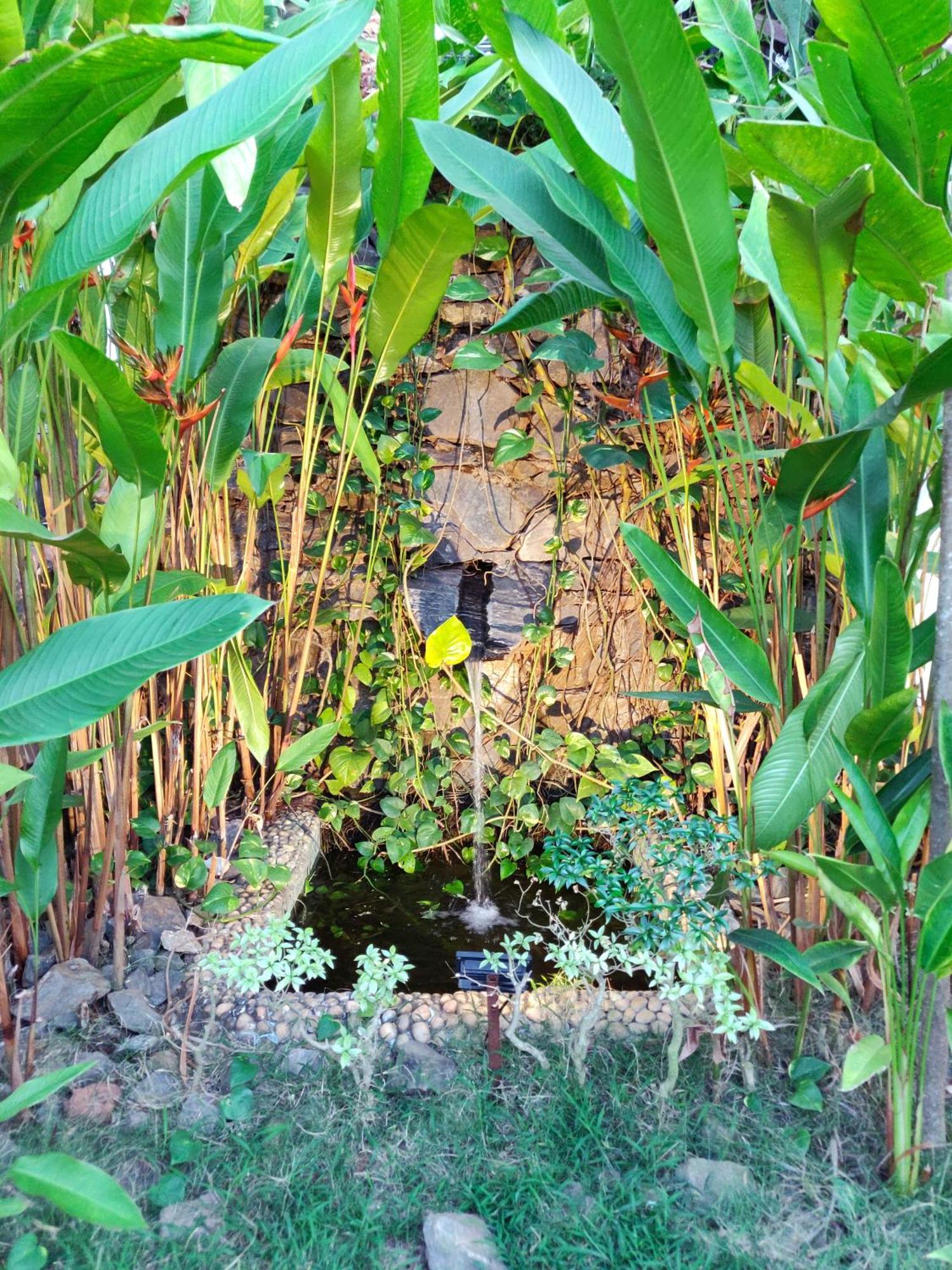 Rock Forest Goa Honeymoon Cottages Calangute Esterno foto